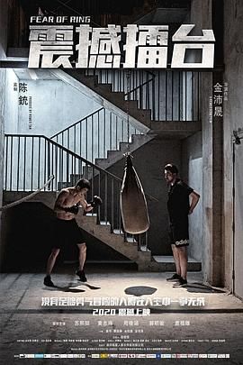 《新的哥哥》海报